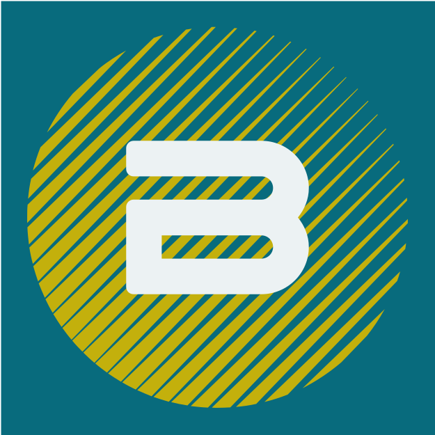 BridgeLingua Pro LLC