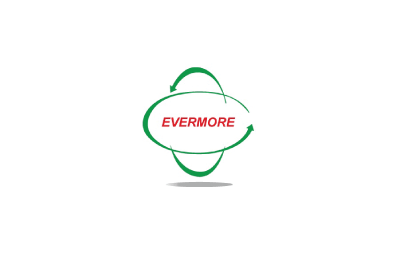 EVERMORE Translation Service