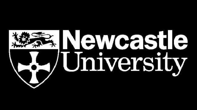 Newcastle University (School of Modern Languages)
