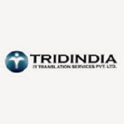 Tridindia IT Translation Services Pvt Ltd